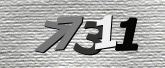 보안 코드 이미지