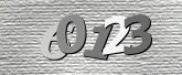 驗證碼