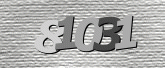 驗證碼