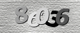 驗證碼