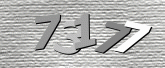 驗證碼