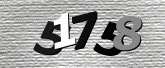 驗證碼