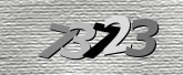 驗證碼