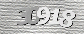 驗證碼