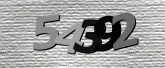 驗證碼