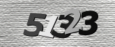 驗證碼