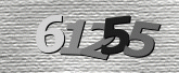 驗證碼