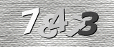 驗證碼
