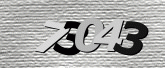驗證碼