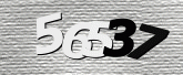 驗證碼