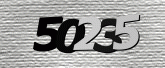 驗證碼