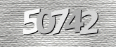 驗證碼