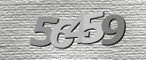 驗證碼